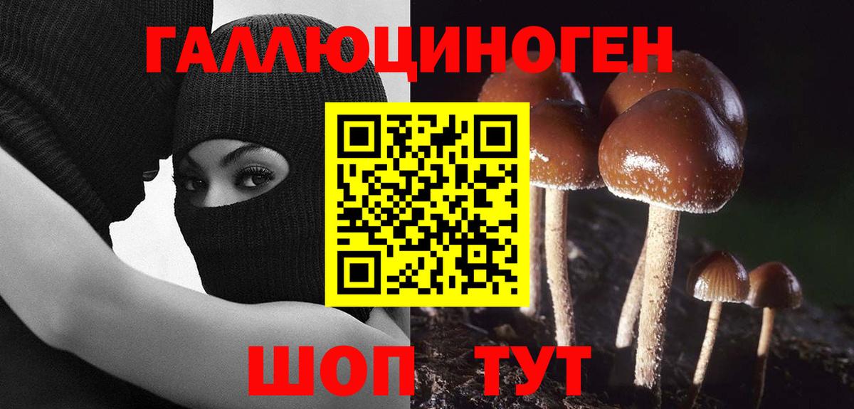 Дюртюли  Псилоцибиновые грибы MAGIC MUSHROOMS  Вход с VPN 